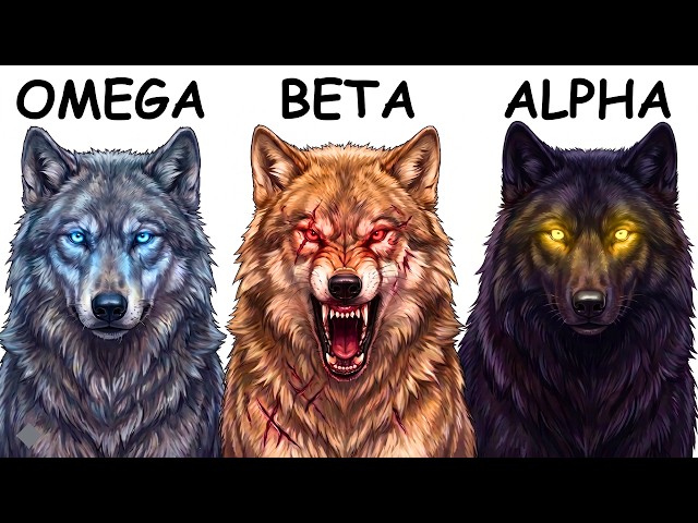 Your Life as Every Wolf Pack Rank