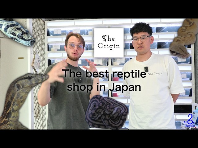 This reptile shop SHOCKED me (ft. @theorigin-rep )