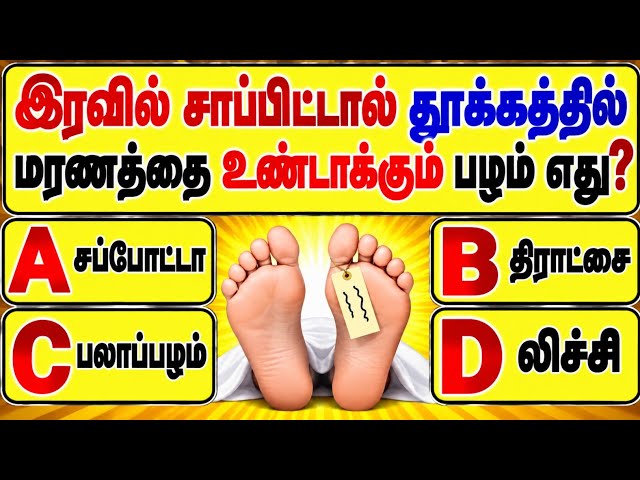 gk questions in tamil | gk questions and answers in tamil | gk question | @Study__My__Way 