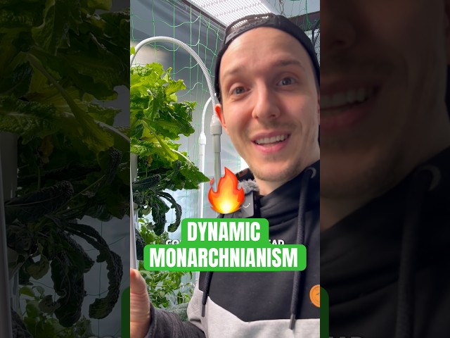 The Monarchy of the Father is Dynamic. 🔥 Dynamic Monarchianism is the key to understanding Jesus.