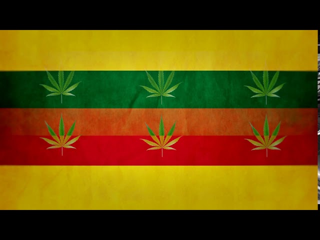 Club Visuals 1049 - Reggae Colors Motion Background