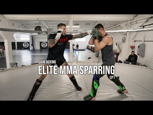 Elite MMA Sparring EP1 | BST Academy | Siam Boxing