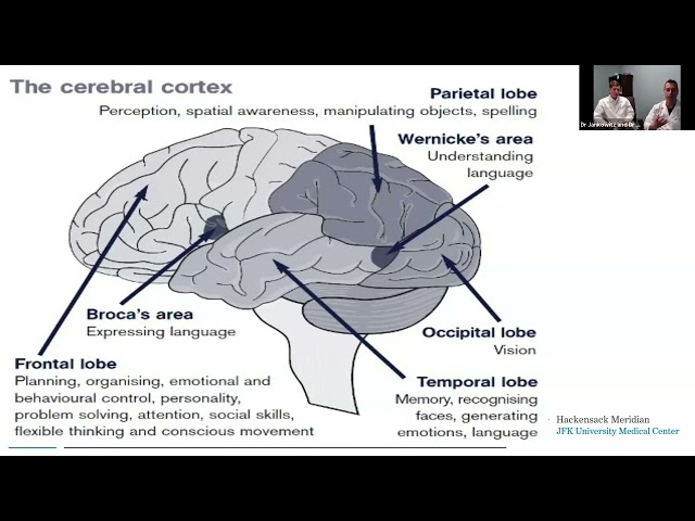 Stroke Identification & Triage Webinar