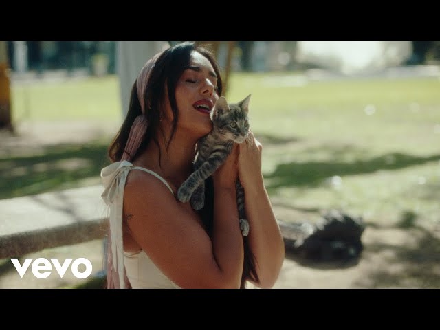 Angela Leiva - Gato