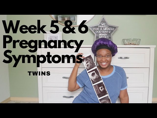 5 & 6 Week Pregnancy Symptoms | TWINS