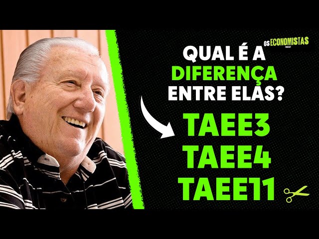 EM QUAL TIPO DE AÇÃO DA TAESA O LUIZ BARSI INVESTE? TAEE11 ou TAEE3 | Os Economistas 28