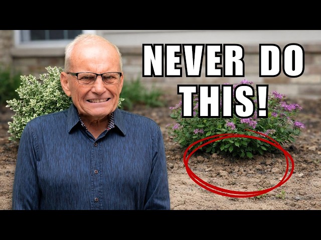 47 Years of Landscaping Advice in 15 Minutes