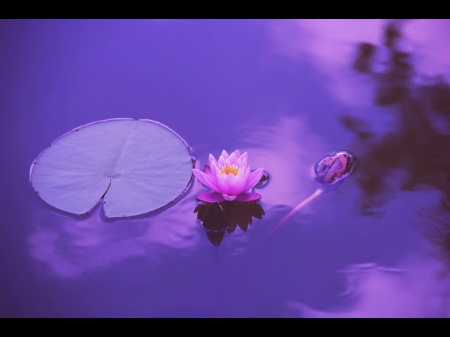 Relaxing Music For Meditation | Core Mindfulness - Reflection