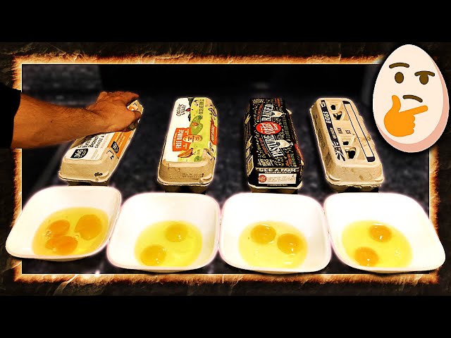 Which Eggs are Good? GROCERY HAUL COMPARISON