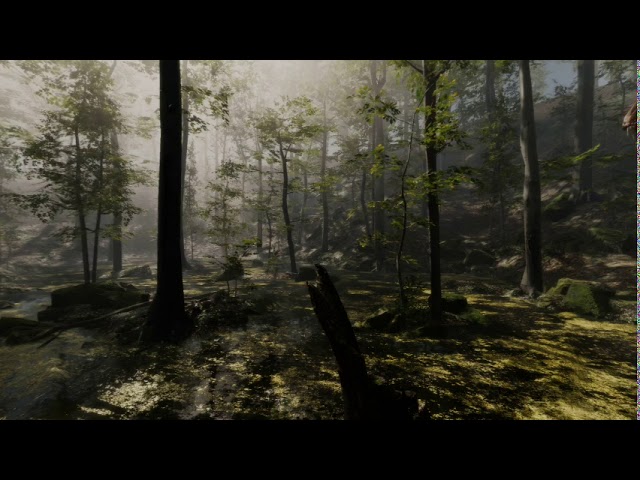 VR Dinosaur 180 60FPS