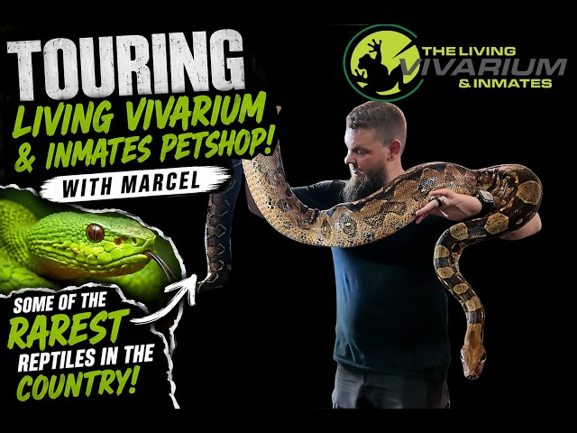 Living Vivarium Tour