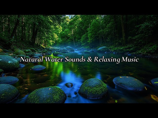 Healing Nature Sounds & Soft Ambient Music