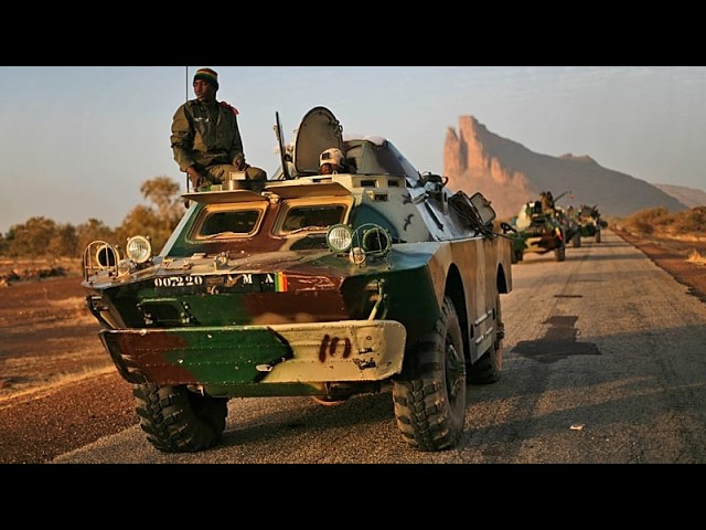 Mali: Separatists announce withdrawal from Kidal following army offensive