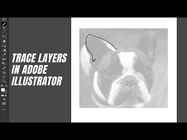Adobe Illustrator 2021 - How to Trace Using Template Layers