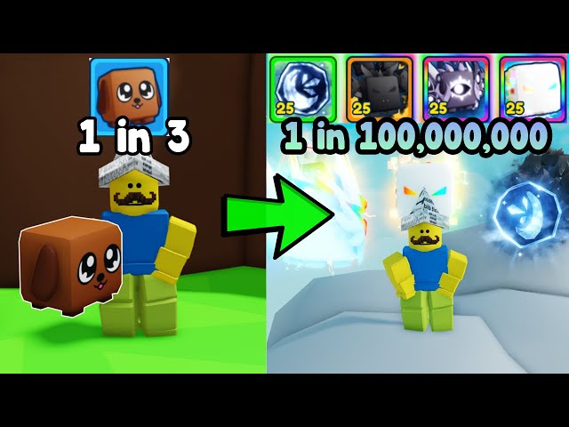 Went From Noob To Master In Bubble Gum Simulator INFINITY!
