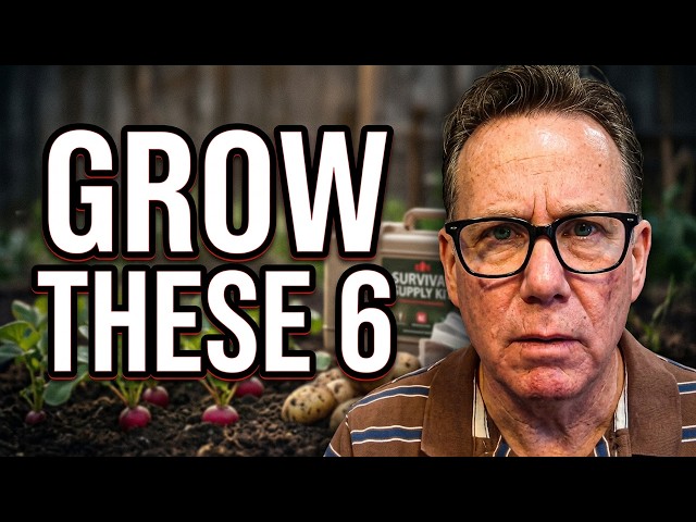 Only 6 Foods Needed for Survival - Grow These NOW!