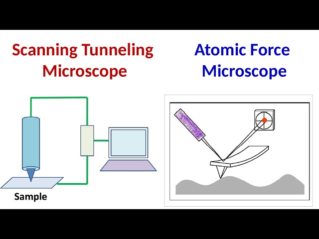 Microscopía de efecto túnel | Microscopía de fuerza atómica