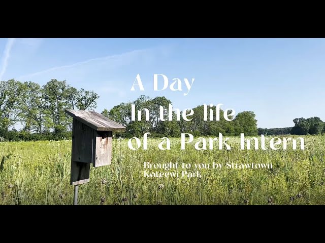 Come along for a day in the life of a Parks and Recreation Intern!
