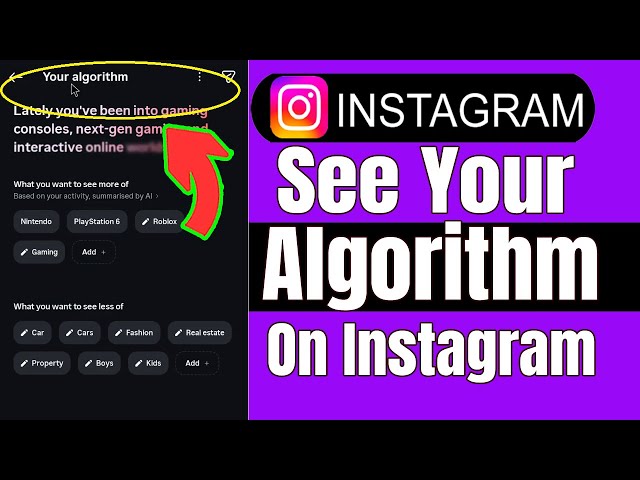 How To See Your Algorithm On Instagram
