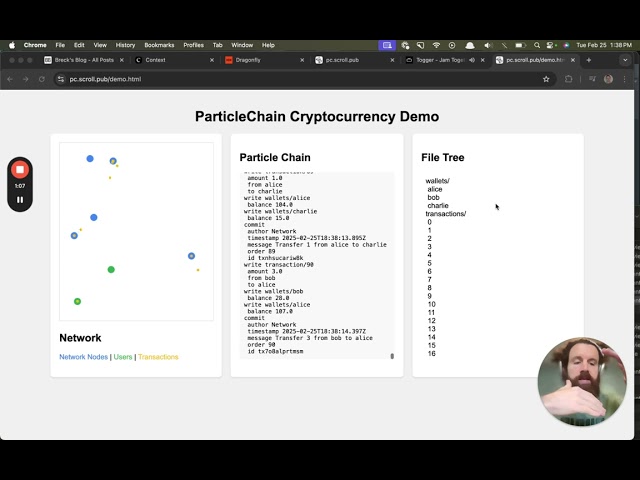 Particle Chains Visualization