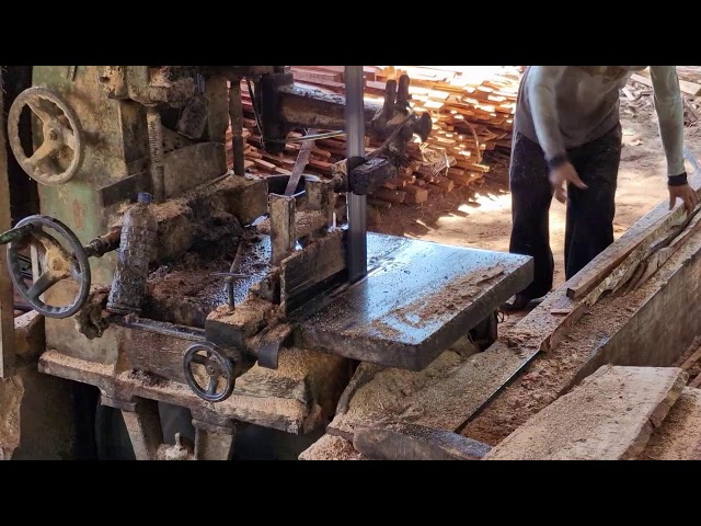 Efficient Wood Processing: The Secret to Professional Sawmill Cutting