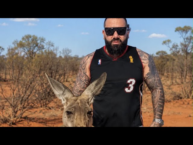 A face to face moment with a giant outback kangaroo I’ll never forget 