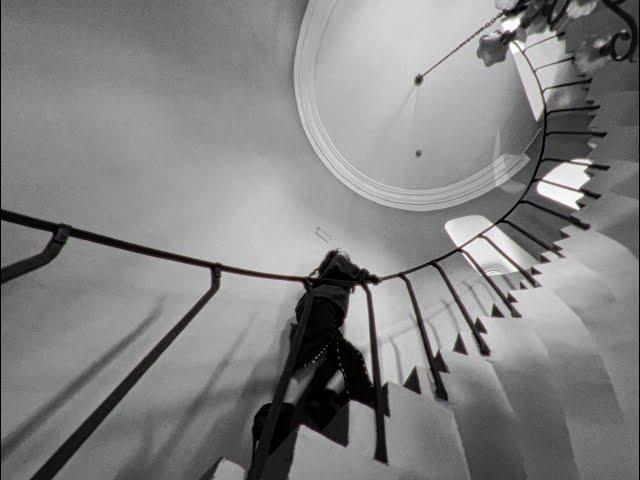 SNARYAD ***** PALACE