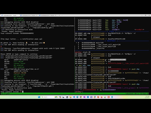 P08-04) TryHackMe pwn101 level7 - leaking canary using format string [PER]