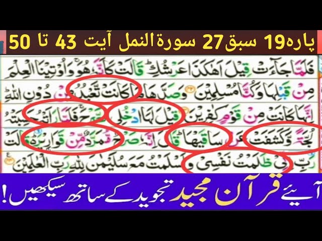 Parah19 Lesson27,Surah Naml ayyt 43to50,Learn Quran With Tajveed word by word,Beautiful reaction Voi