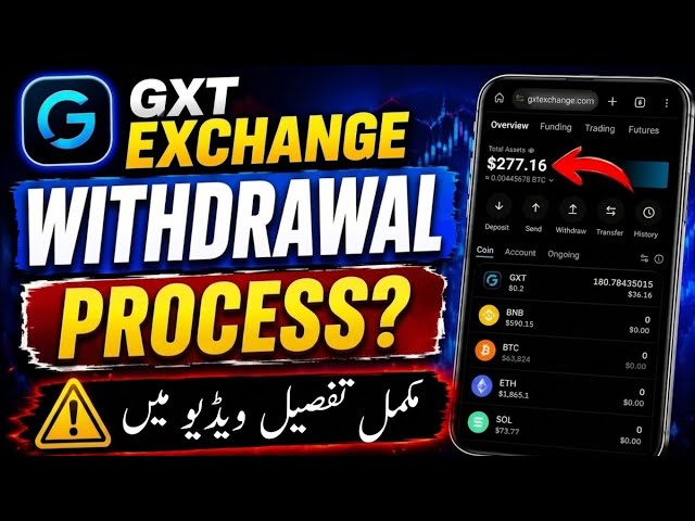 GXT Exchange Withdrawal Process | Full Guide ☑️