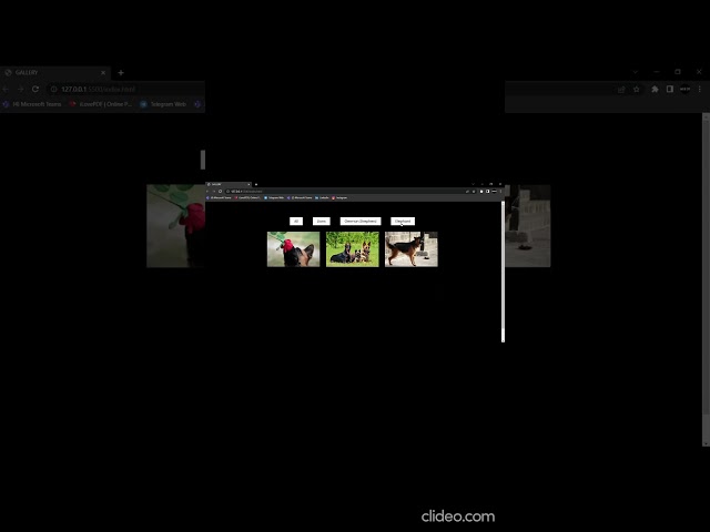 GALLERY USING HTML, CSS, JavaScript | Categorized Gallery
