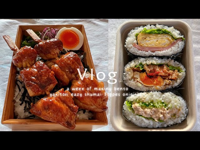 Yakitori Bento | Kakuni Onigirazu | Easy Shumai | Salmon Bowl | Japanese cooking vlog