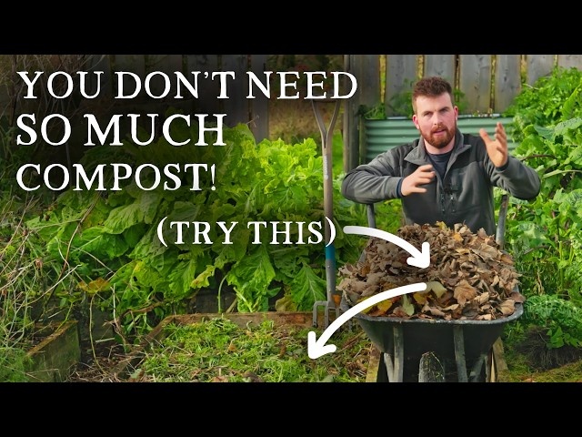 How to Grow More Food With Less Compost | The Complete Guide