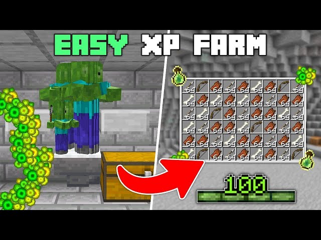 Fastest Zombie XP Farm for Beginners! Level 30 in Minutes (1.21)
