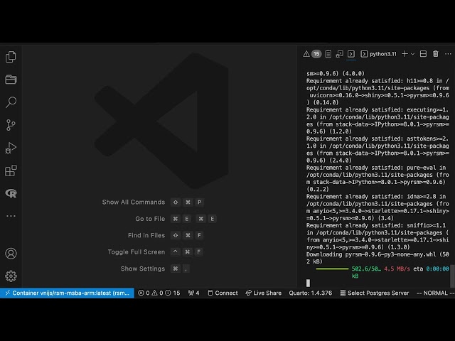 Install and updating python packages for the RSM-MSBA docker container