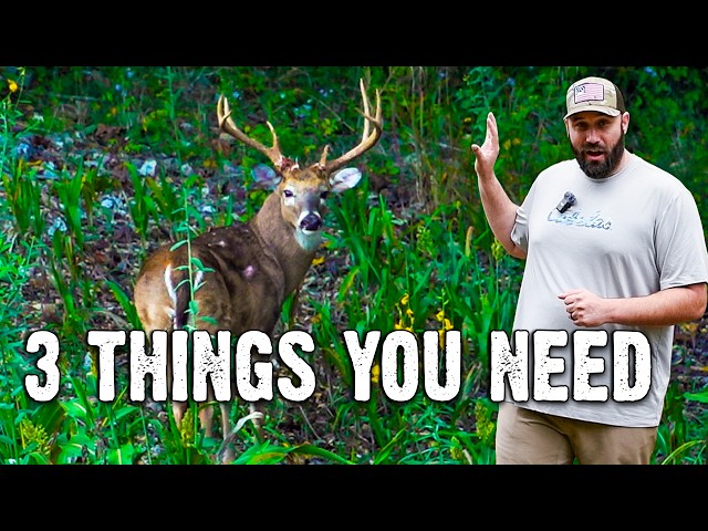 3 Things Every Hidey Hole Food Plot Needs
