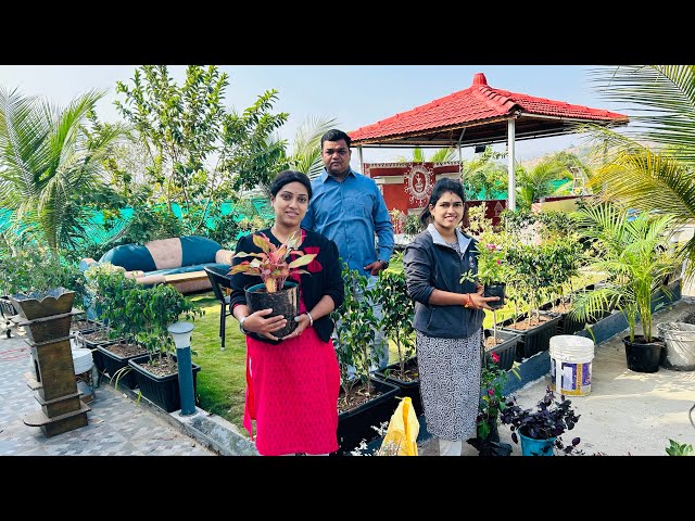 आज लावले indoor plants नवीन घरी , या झाडांनी घराच्या intry ची वाढवली शोभा .कधीही न ऐकलेली झाडे ll