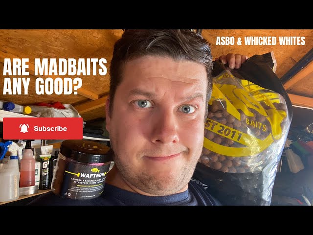 Madbaits Review