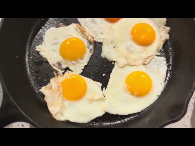 White eggs vs Brown eggs⁉️