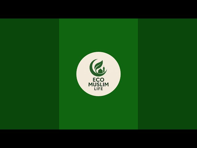 Eco Life is live