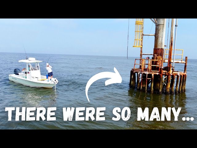 Sheepshead Fishing Like You've NEVER Seen Before!