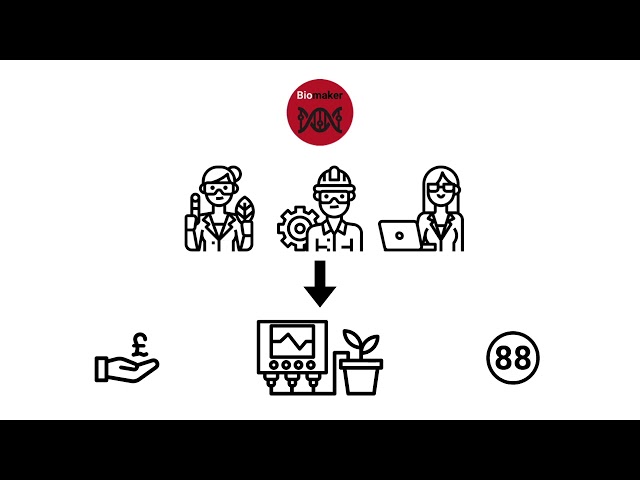 An Introduction to No-Code Programming for Biology