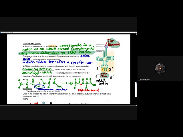SBI4U Lesson 5 Part 2 (Translation)