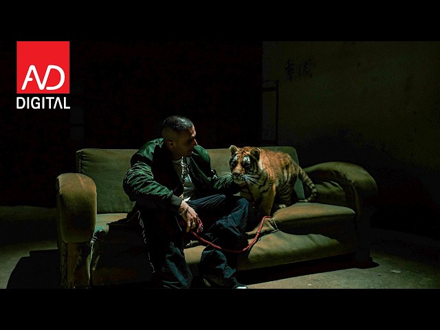 DON XHONI - BBB