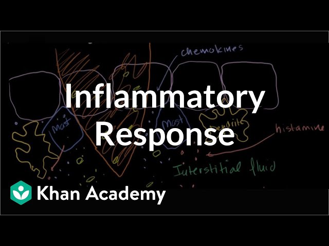 Inflammatory response | Human anatomy and physiology | Health & Medicine | Khan Academy