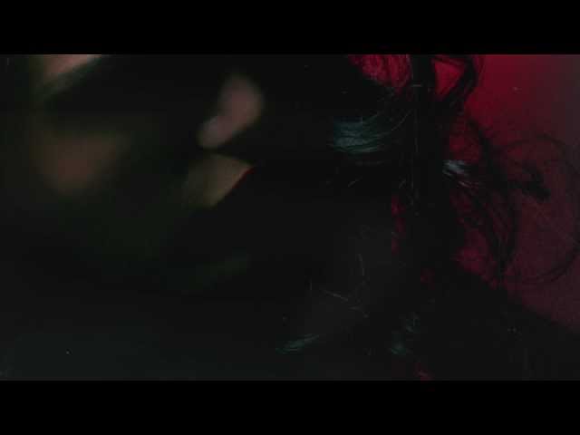The Weeknd - D.D.