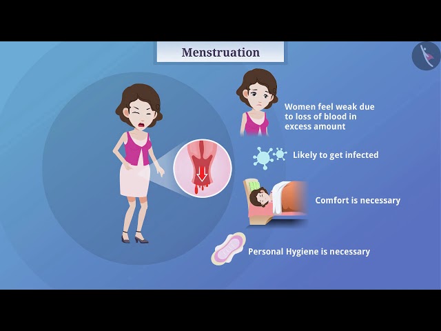Menstruation and reproductive health | Part 1/1 | English | Class 10