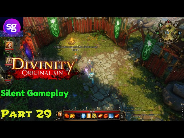 Divinity: Original Sin  Silent Gameplay Part 29