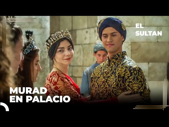 El Príncipe Murad Llega a Payitah | El Sultán