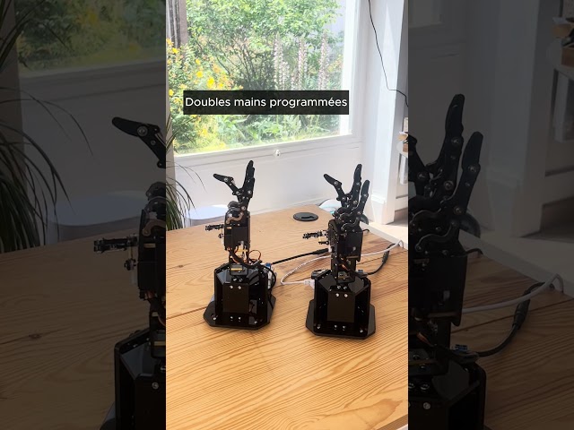 Robot Main Programmable UhandPi - Leobotics